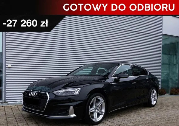 audi a5 kolonowskie Audi A5 cena 199500 przebieg: 1, rok produkcji 2024 z Kolonowskie